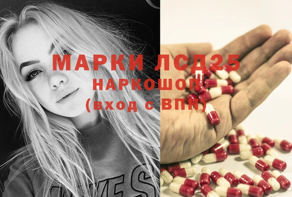 мяу мяу мука Алзамай